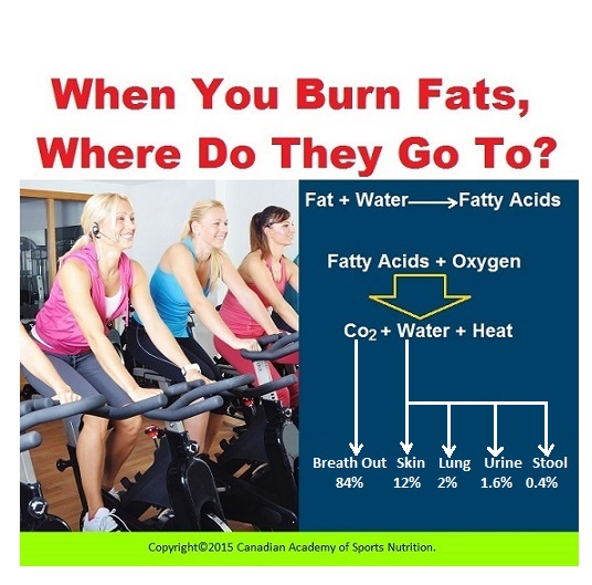 When you burn fats where do they go to 1 Canadian Academy of Sports Nutrition caasn