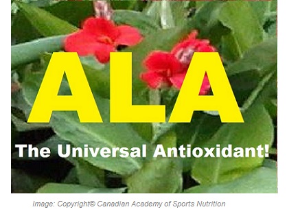 Alpha Lipoic Acid 1 Canadian Academy of Sports Nutrition caasn