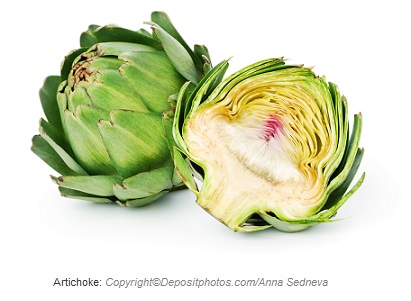 Artichoke. Canadian academy of sports nutrition