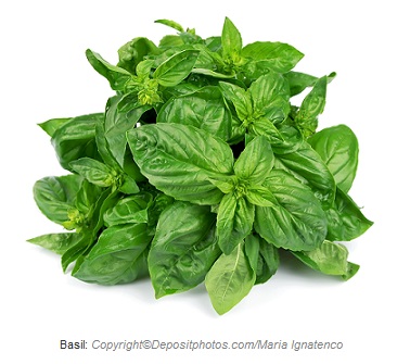 Basil. Canadian academy of sports nutrition
