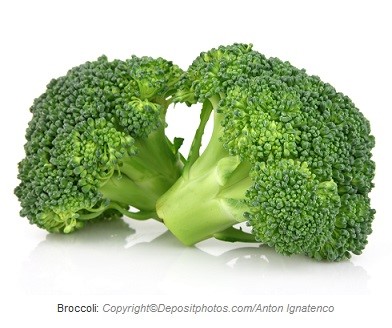 Broccoli. Canadian Academy of Sports Nutrition