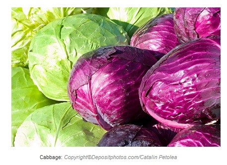 Cabbage. Canadian Academy of Sports Nutrition