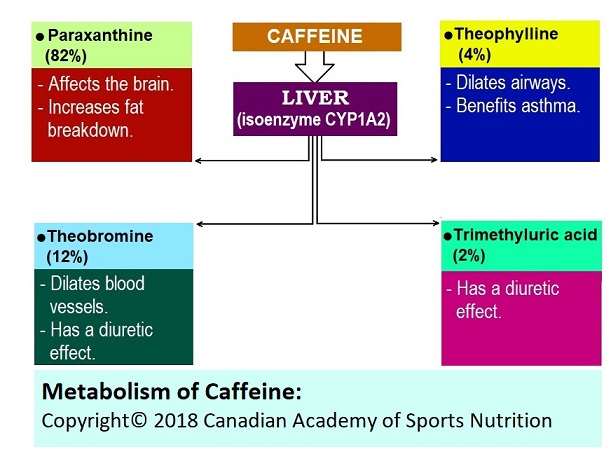 Caffeine 1 Canadian Academy of Sports Nutrition.caasn