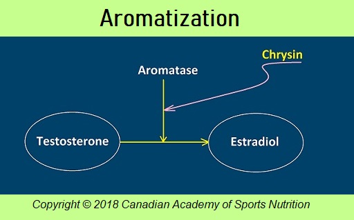 Canadian Academy of Sports Nutrition aromatization caasn