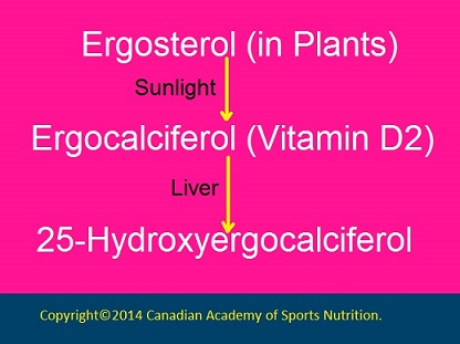 Canadian Academy of Sports Nutrition vitamin D 2