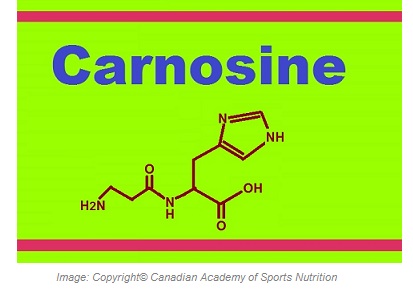Carnosine Antioxidant 1 Canadian Academy of Sports Nutrition caasn