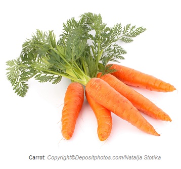 Carrot. Canadian Academy of Sports Nutrition