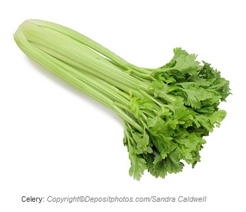 Celery. Canadian Academy of Sports Nutrition