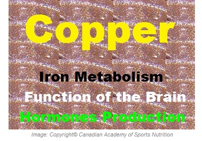 Copper 1 Canadian Academy of Sports Nutrition caasn