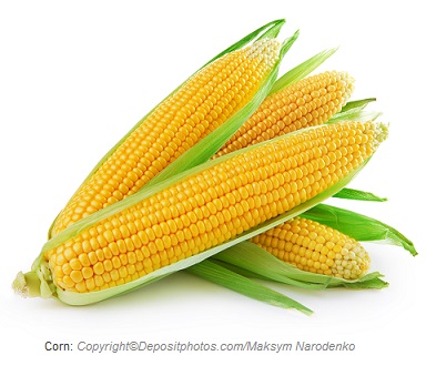 Corn. Canadian Academy of Sports Nutrition