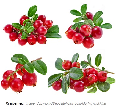 Cranberries. Canadian Academy of Sports Nutrition