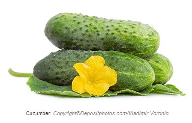 Cucumber. Canadian Academy of Sports Nutrition