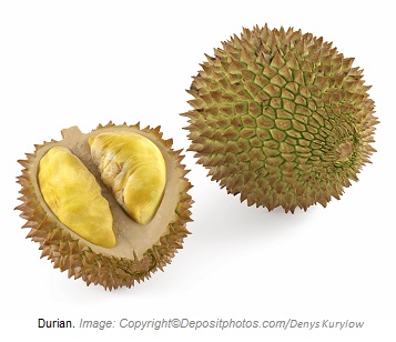 Durian. Canadian Academy of Sports Nutrition caasn
