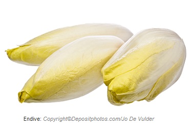 Endive. Canadian Academy of Sports Nutrition