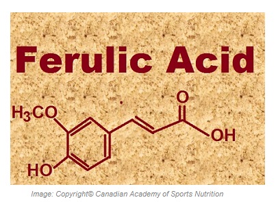 Ferulic Acid Antioxidant 1 Canadian Academy of Sports Nutrition caasn