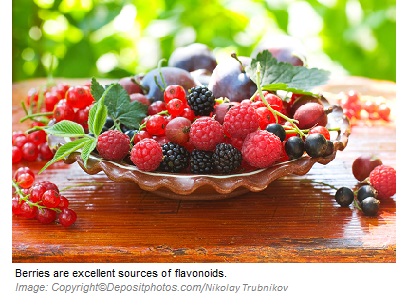 Flavonoids 1 Canadian Academy of Sports Nutrition caasn