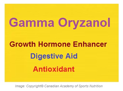 Gamma Oryzanol Antioxidant 1 Canadian Academy of Sports Nutrition caasn