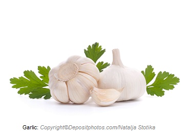 Garlic. Canadian Academy of Sports Nutrition