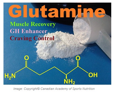 Glutamine 1 Canadian Academy of Sports Nutrition caasn
