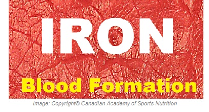 Iron 1 Canadian Academy of Sports Nutrition caasn