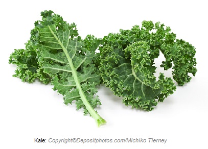 Kale. Canadian Academy of Sports Nutrition