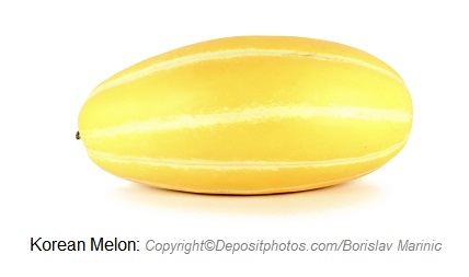 Korean Melon 1 Canadian Academy of Sports Nutrition caasn