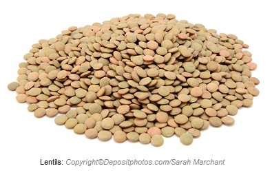 Lentils. Canadian Academy of Sports Nutrition