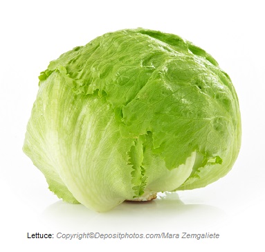 Lettuce. Canadian Academy of Sports Nutrition