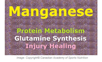 Manganese 1 Canadian Academy of Sports Nutrition caasn