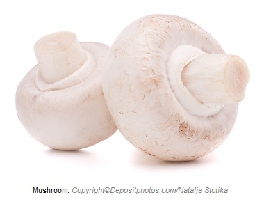 Mushroom. Canadian Academy of Sports Nutrition