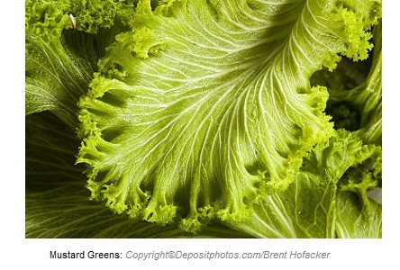 Mustard Greens. Canadian Academy of Sports Nutrition