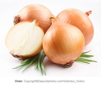 Onion. Canadian Academy of Sports Nutrition