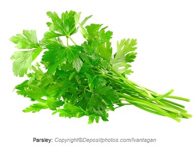 Parsley. Canadian Academy of Sports Nutrition