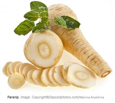 Parsnip. Canadian Academy of Sports Nutrition