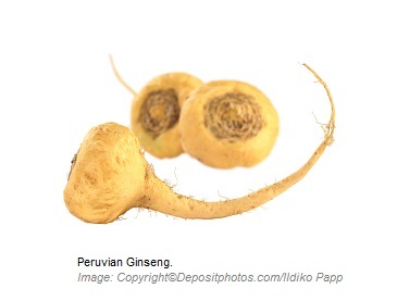 Peruvian Ginseng Adaptogens 1 Canadian Academy of Sports Nutrition caasn