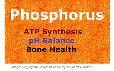 Phosphorous 1 Canadian Academy of Sports Nutrition caasn