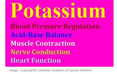 Potassium 1 Canadian Academy of Sports Nutrition caasn