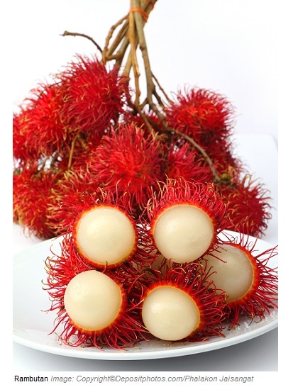 Rambutan 1 Canadian Academy of Sports Nutrition