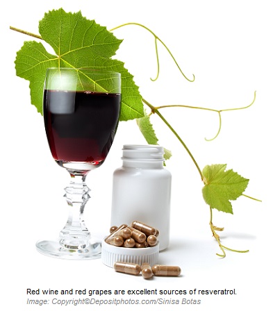 Resveratrol Antioxidant 1 Canadian Academy of Sports Nutrition caasn