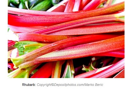 Rhubarb. Canadian Academy of Sports Nutrition