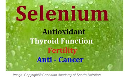 Selenium 1 Canadian Academy of Sports Nutrition caasn