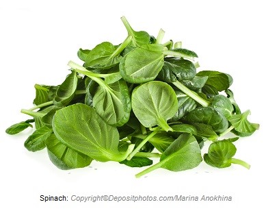 Spinach. Canadian Academy of Sports Nutrition