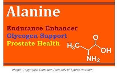 Sports Performance Enhancers ALanine 1 Canadian Academy of Sports Nutrition caasn