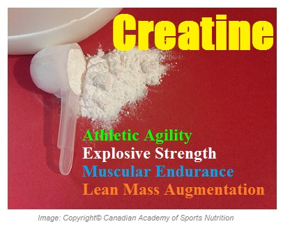 Sports Performance Enhancers Creatine 1 Canadian Academy of Sports Nutrition