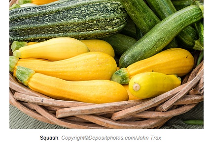 Squash. Canadian Academy of Sports Nutrition