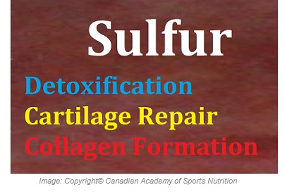 Sulfur 1 Canadian Academy of Sports Nutrition caasn