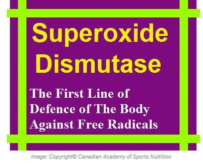 Superoxide Dismutase Antioxidant 1 Canadian Academy of Sports Nutrition caasn