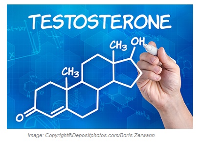 Testosterone 3 Canadian Academy of Sports Nutrition caasn