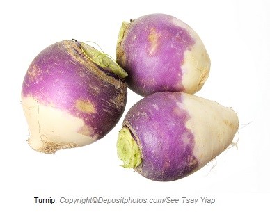 Turnip. Canadian Academy of Sports Nutrition