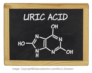 Uric Acid Antioxidant 1 Canadian Academy of Sports Nutrition caasn